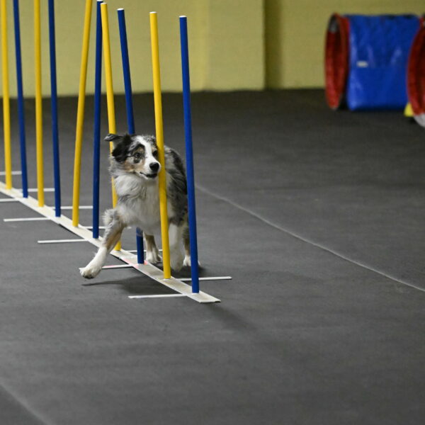 Kaiden-Armbrust-05648