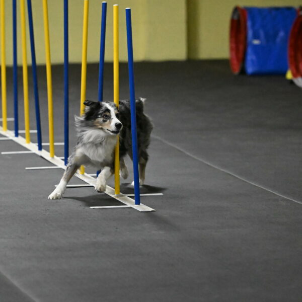 Kaiden-Armbrust-05649