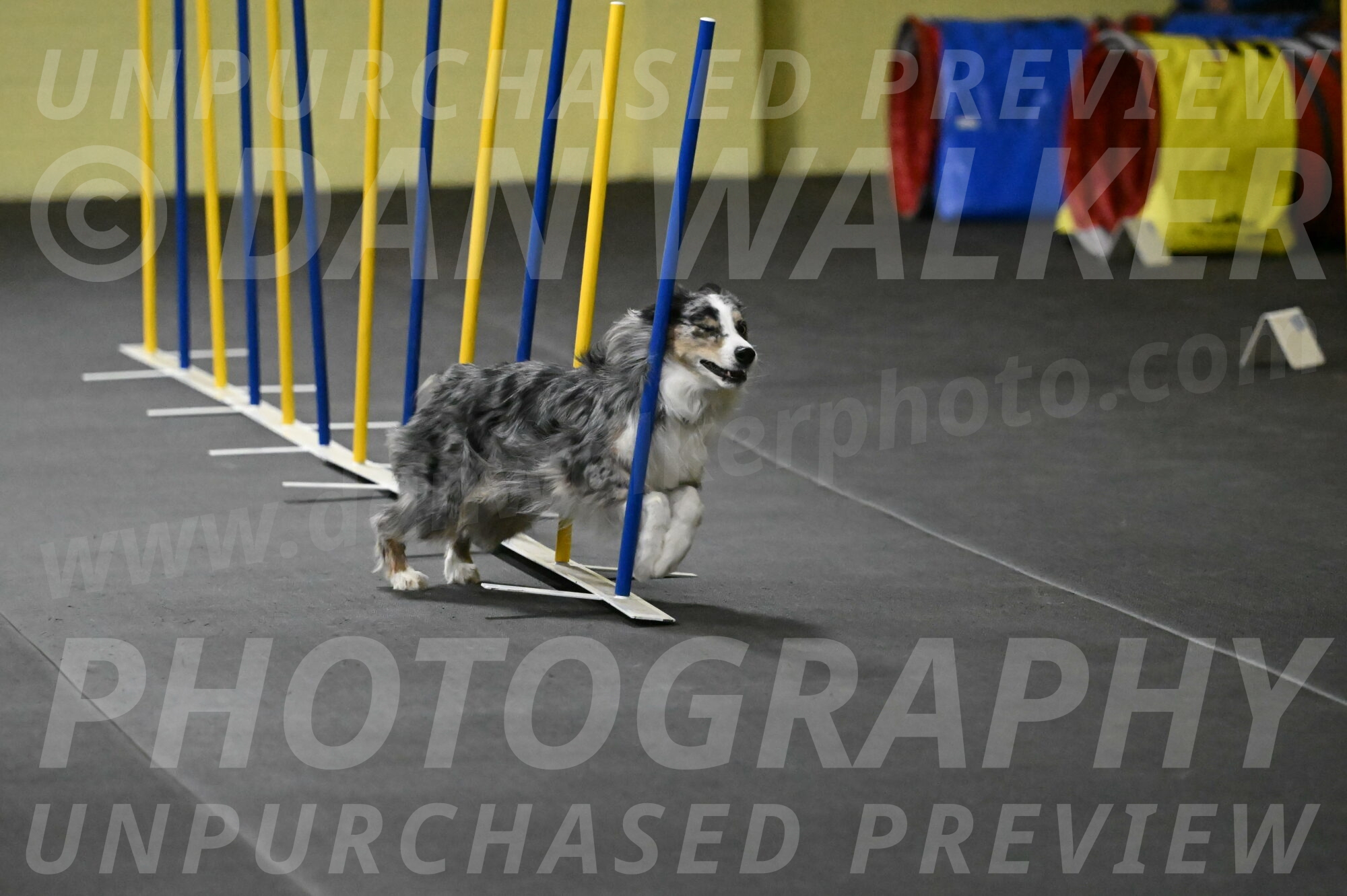 Kaiden-Armbrust-05652