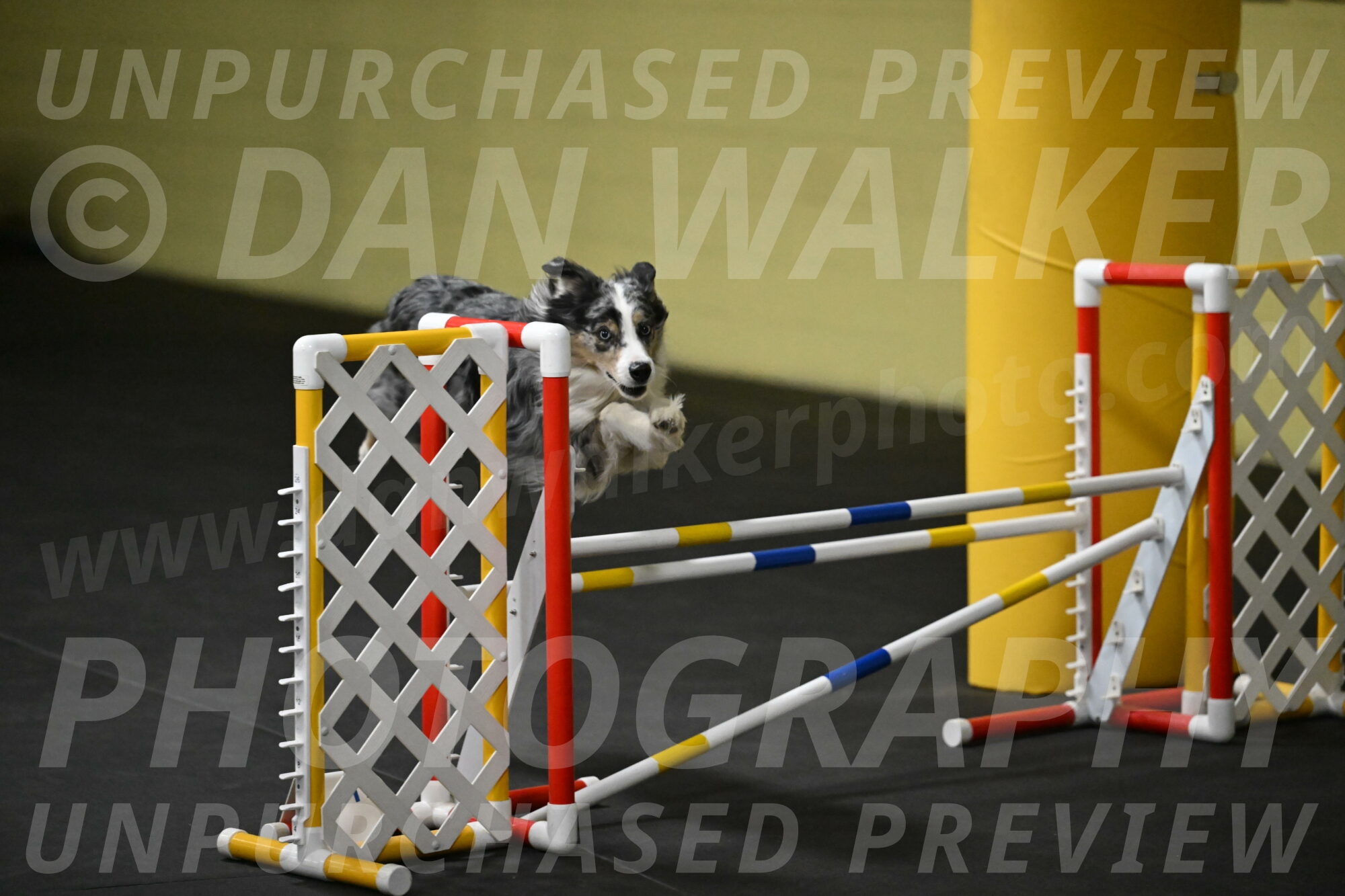 Kaiden-Armbrust-05654