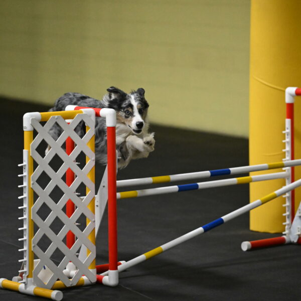 Kaiden-Armbrust-05654