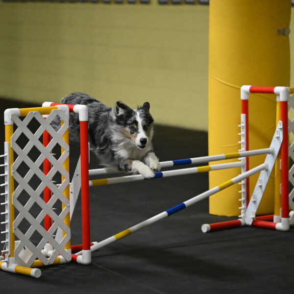 Kaiden-Armbrust-05655