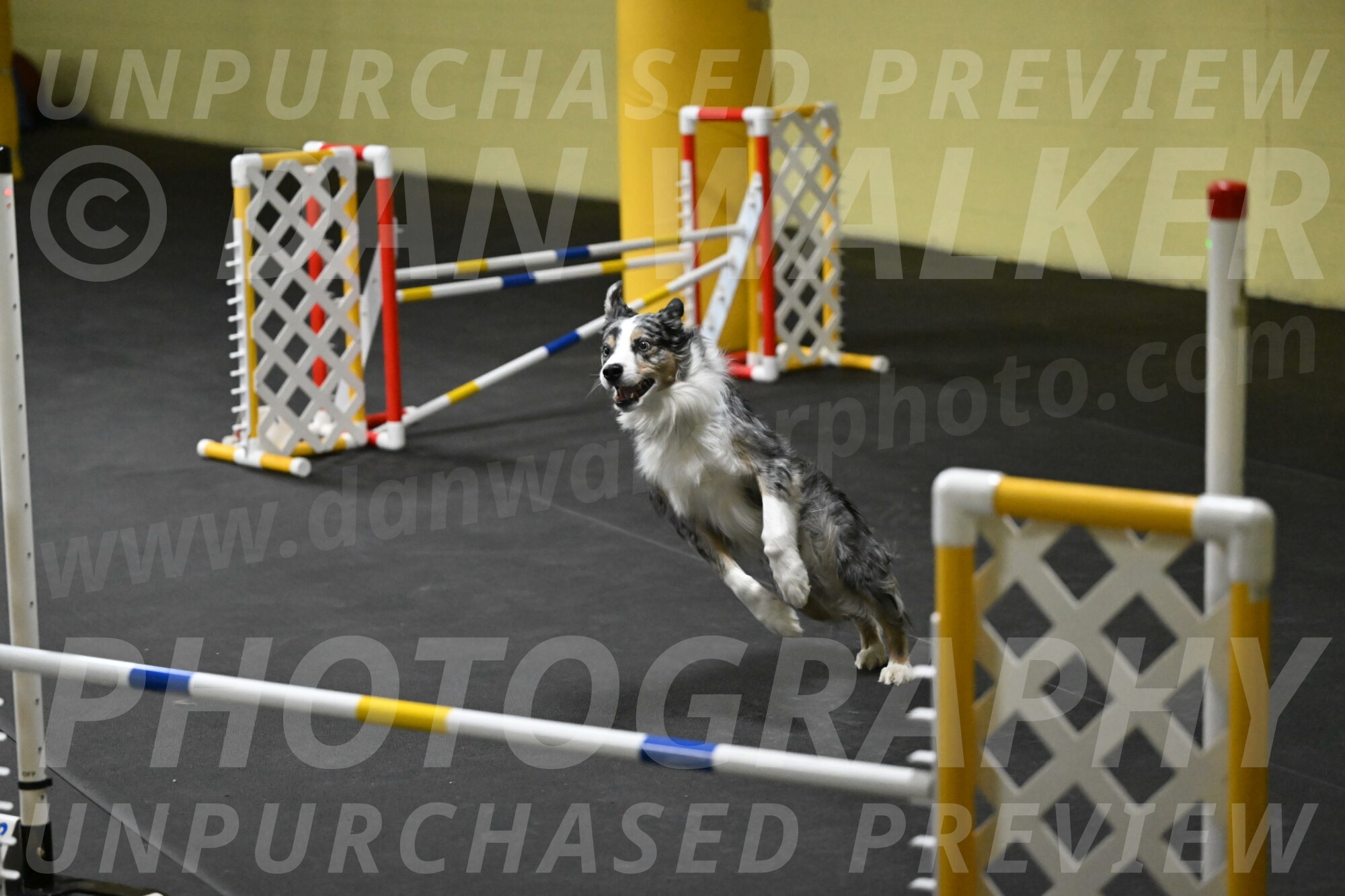 Kaiden-Armbrust-05657