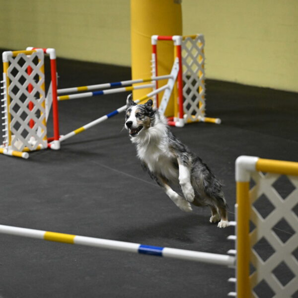 Kaiden-Armbrust-05657