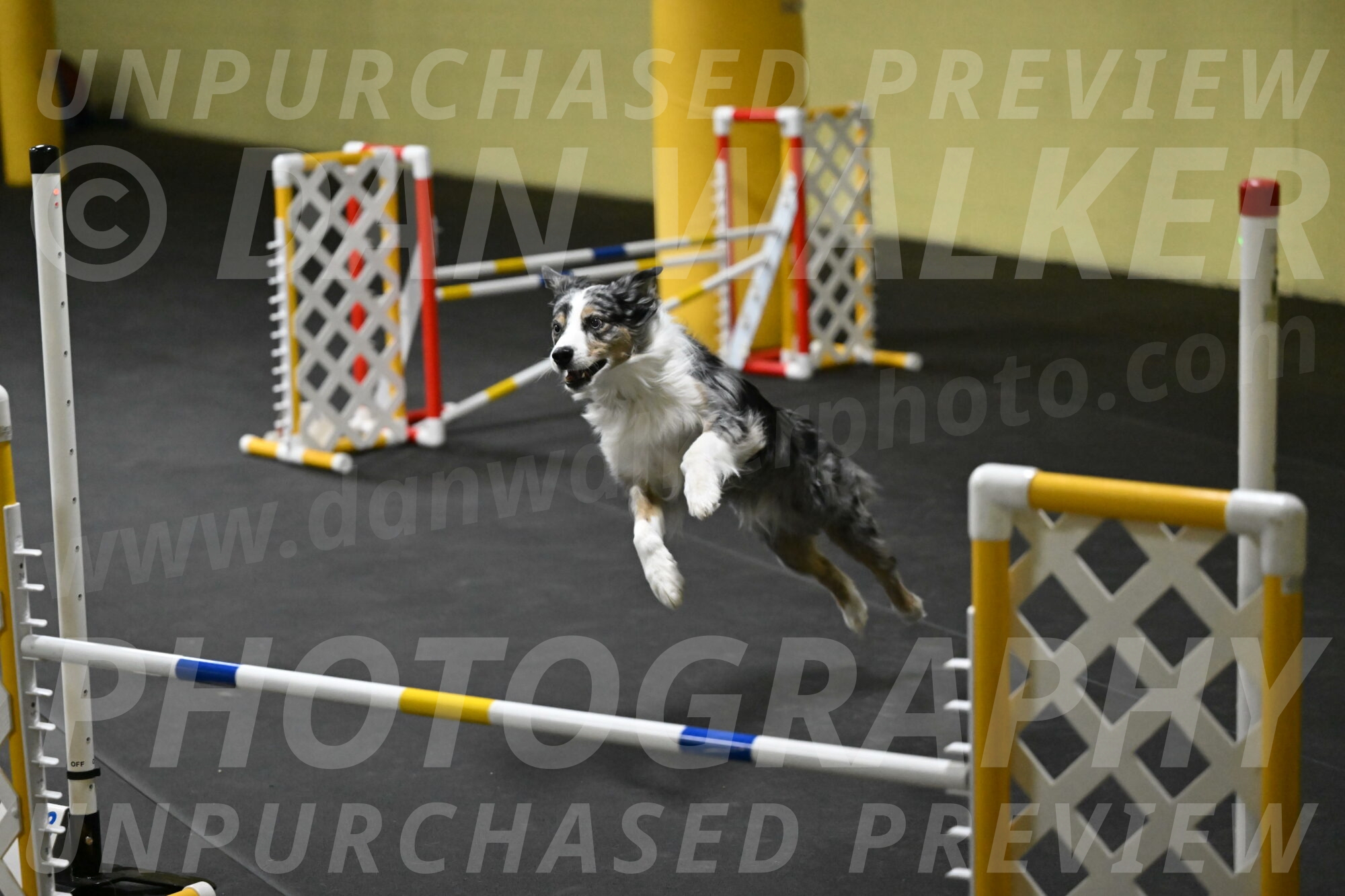 Kaiden-Armbrust-05658