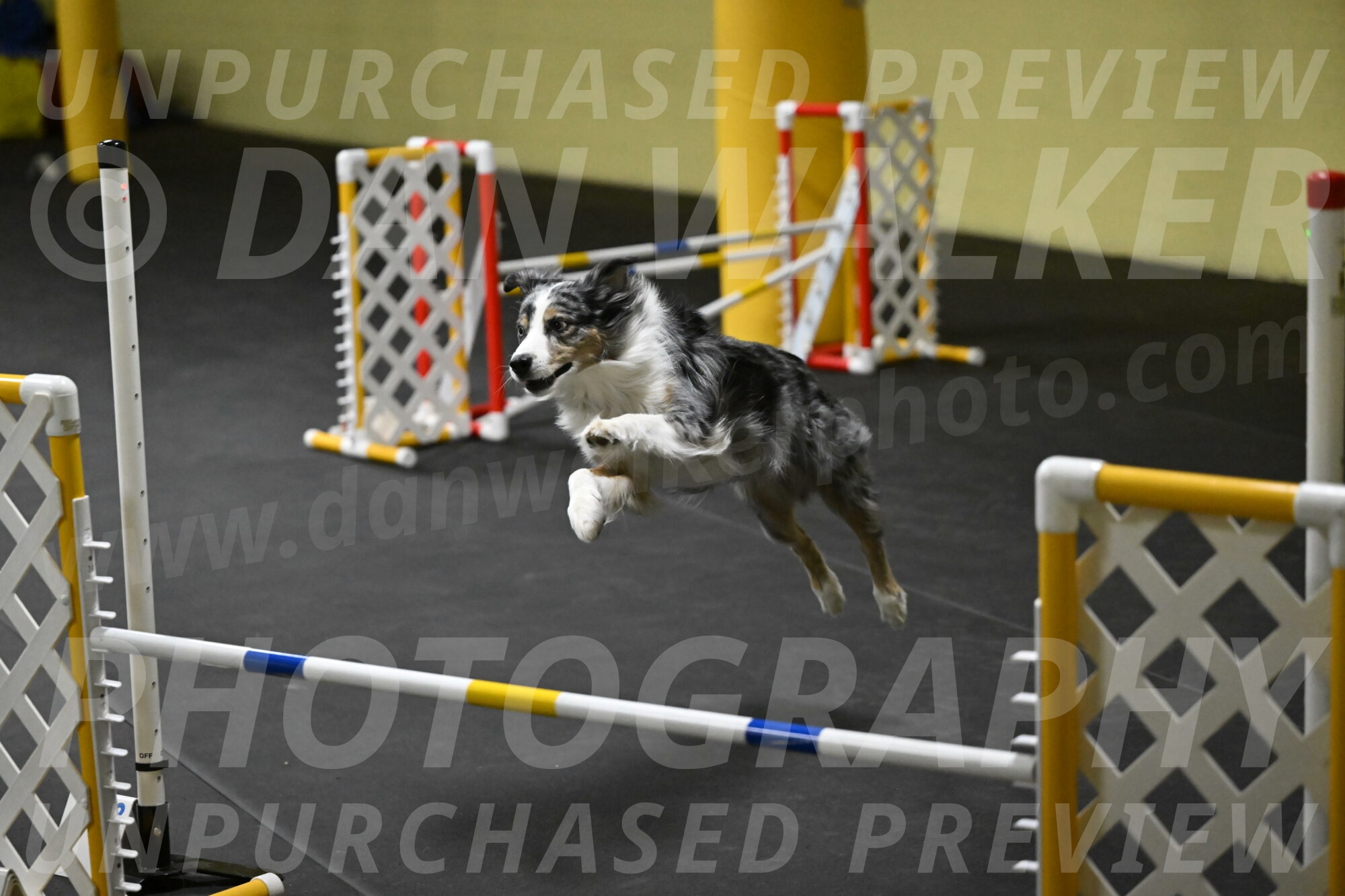 Kaiden-Armbrust-05659