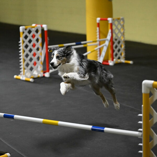 Kaiden-Armbrust-05659