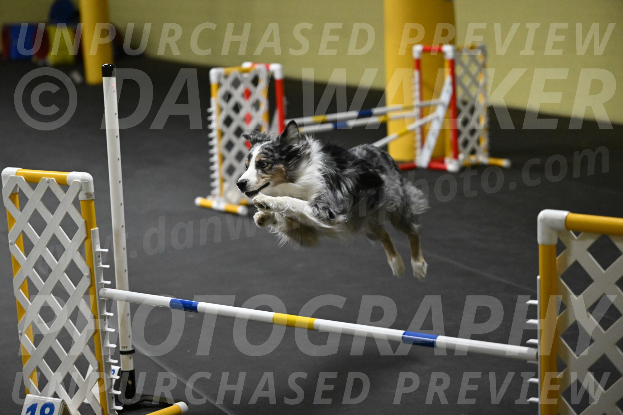 Kaiden-Armbrust-05660