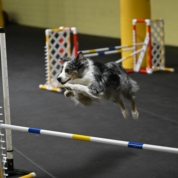 Kaiden-Armbrust-05660