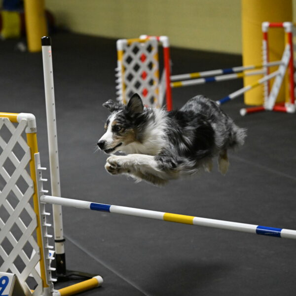 Kaiden-Armbrust-05661