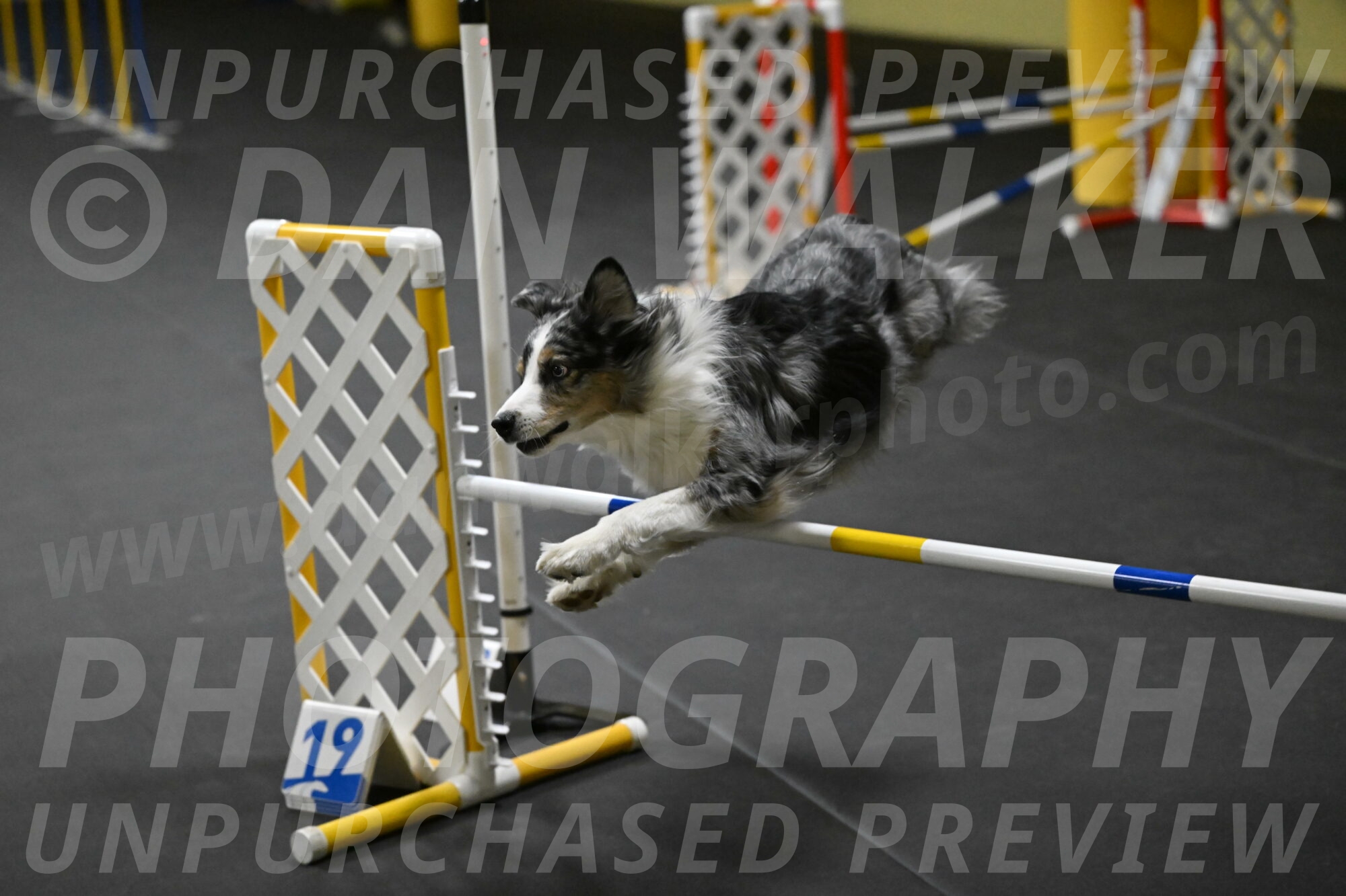 Kaiden-Armbrust-05662