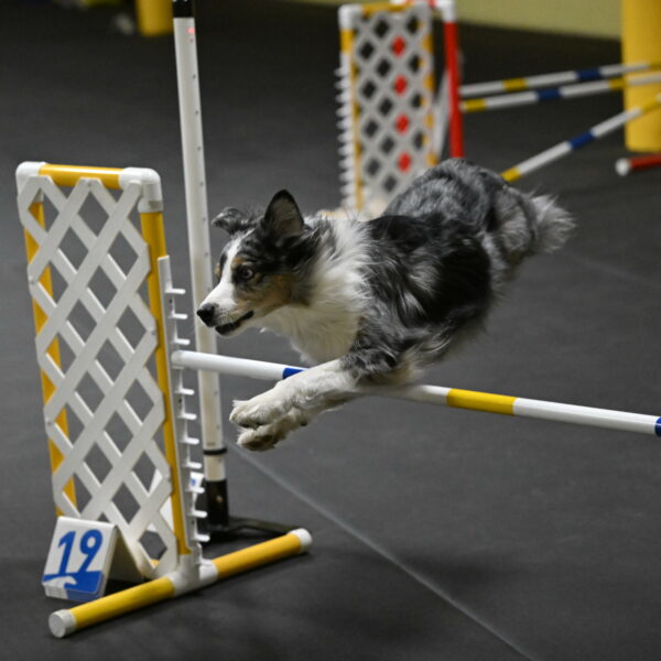 Kaiden-Armbrust-05662