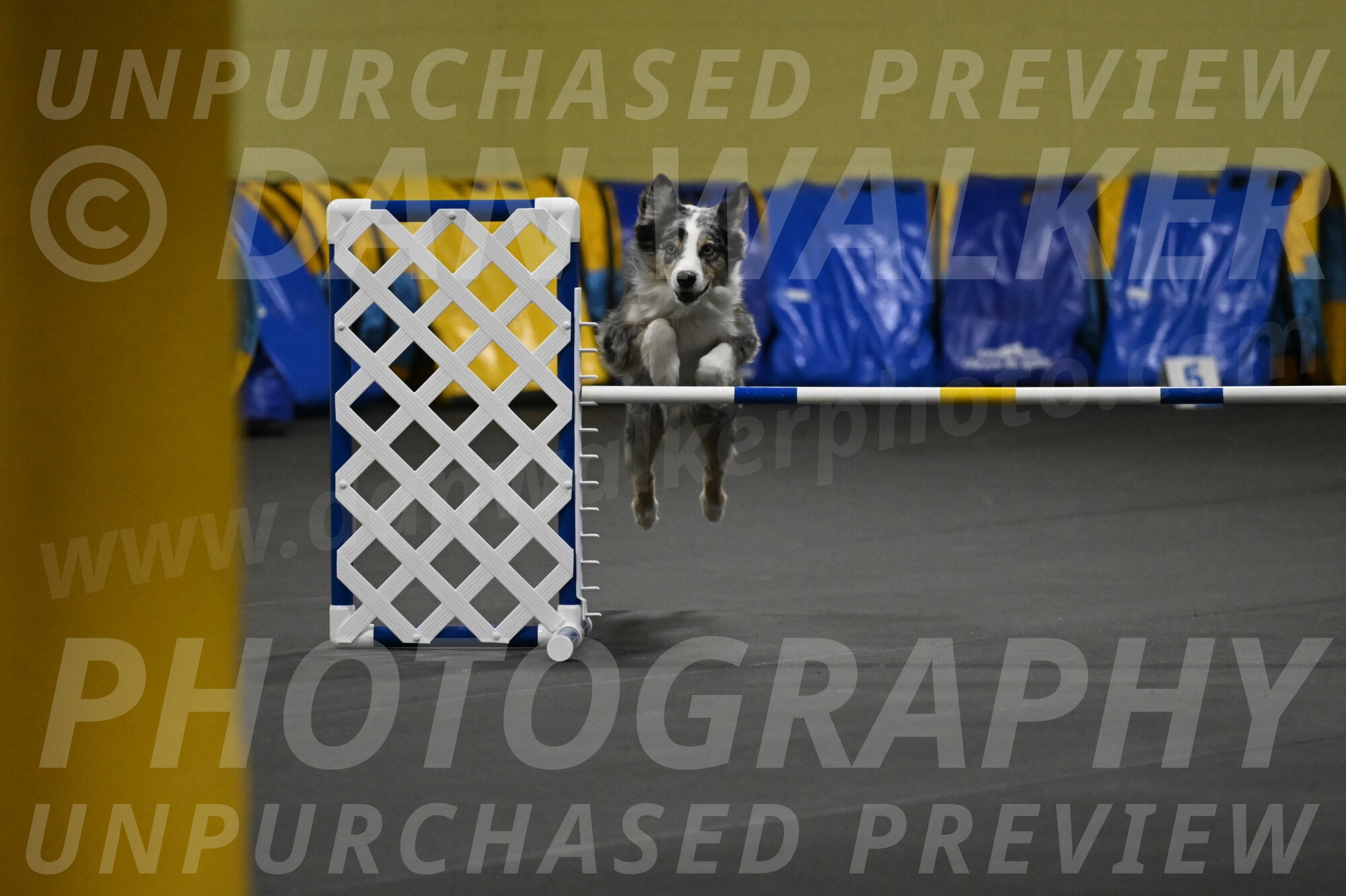 Kaiden-Armbrust-05672