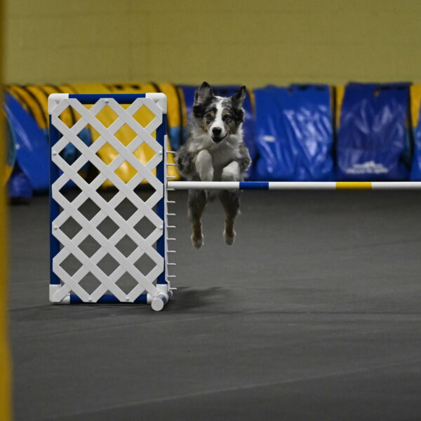 Kaiden-Armbrust-05672