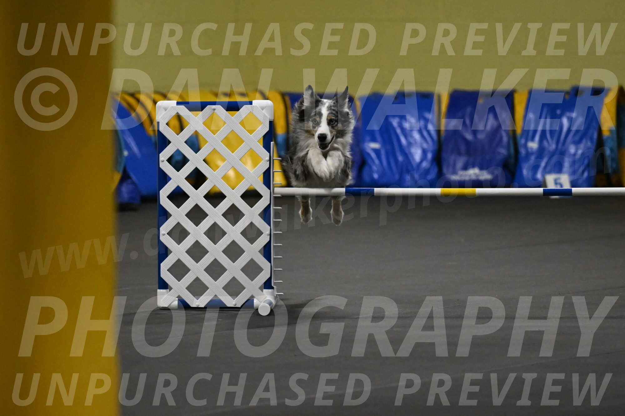 Kaiden-Armbrust-05673