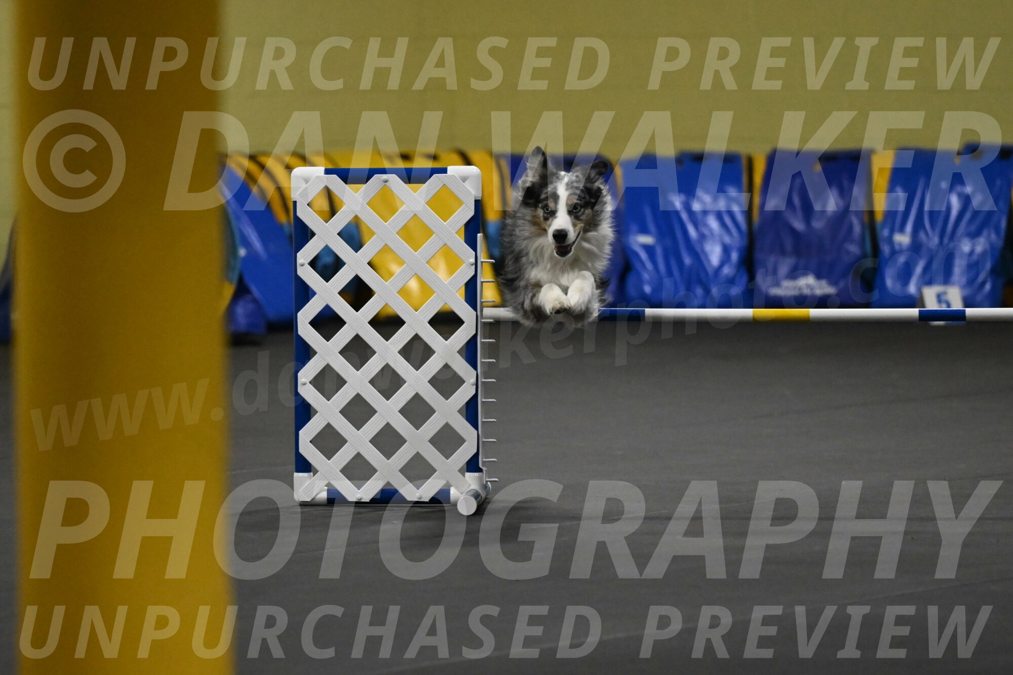 Kaiden-Armbrust-05674