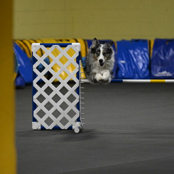 Kaiden-Armbrust-05674