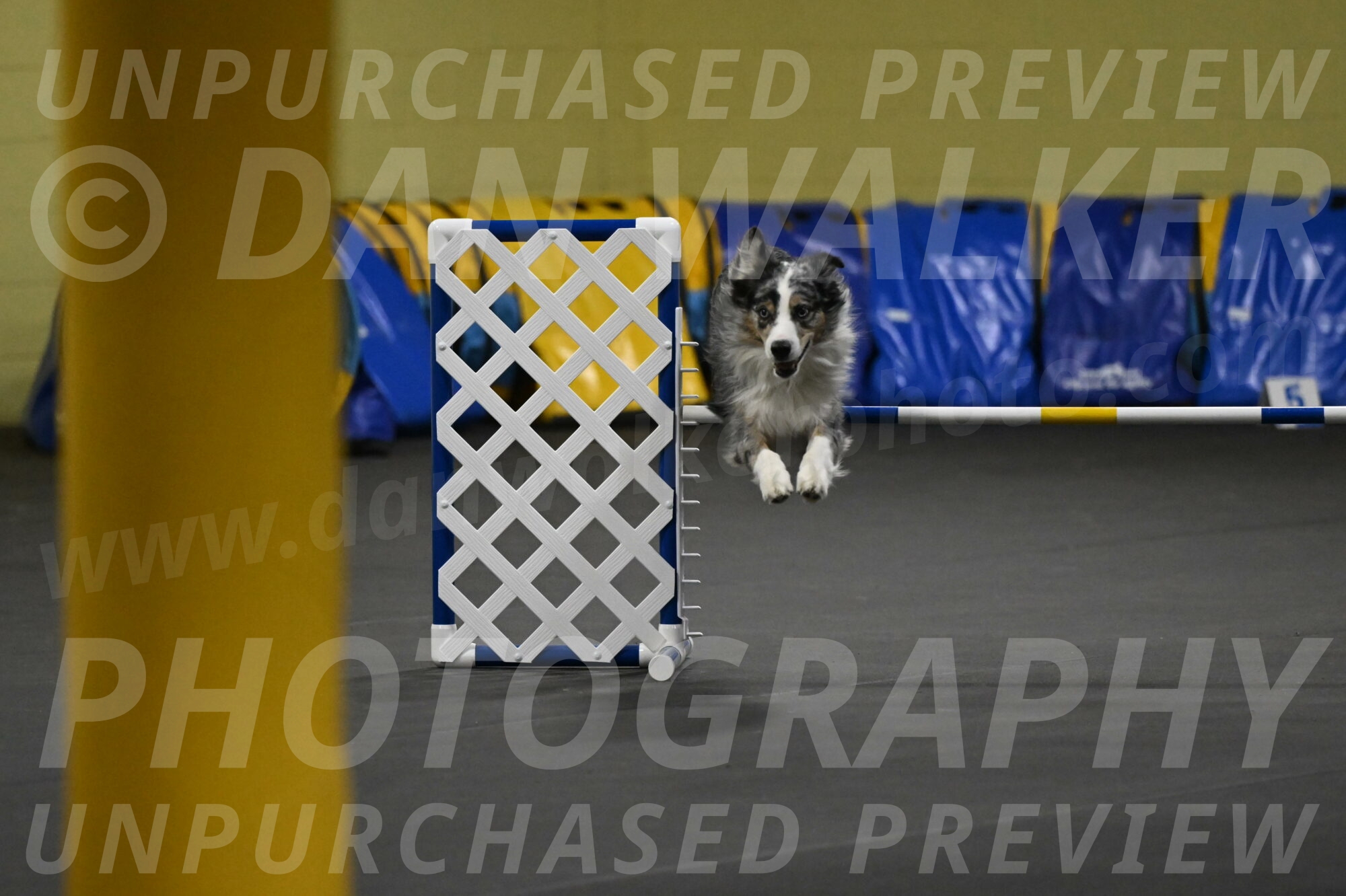 Kaiden-Armbrust-05675