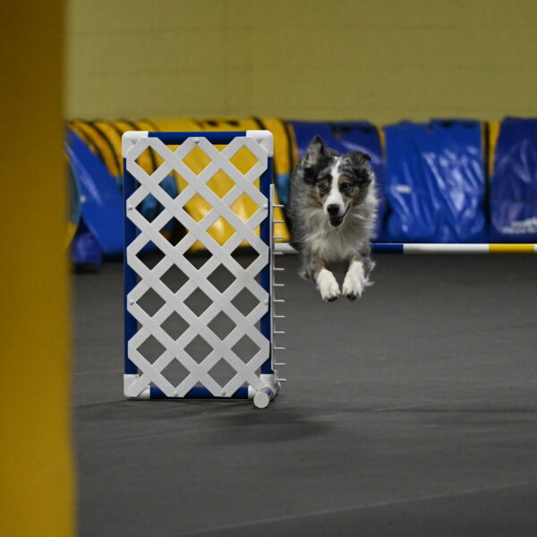 Kaiden-Armbrust-05675