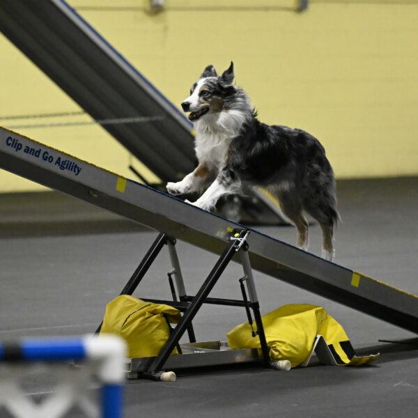 Kaiden-Armbrust-05679