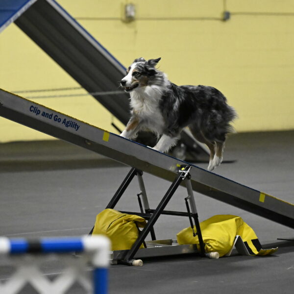 Kaiden-Armbrust-05680