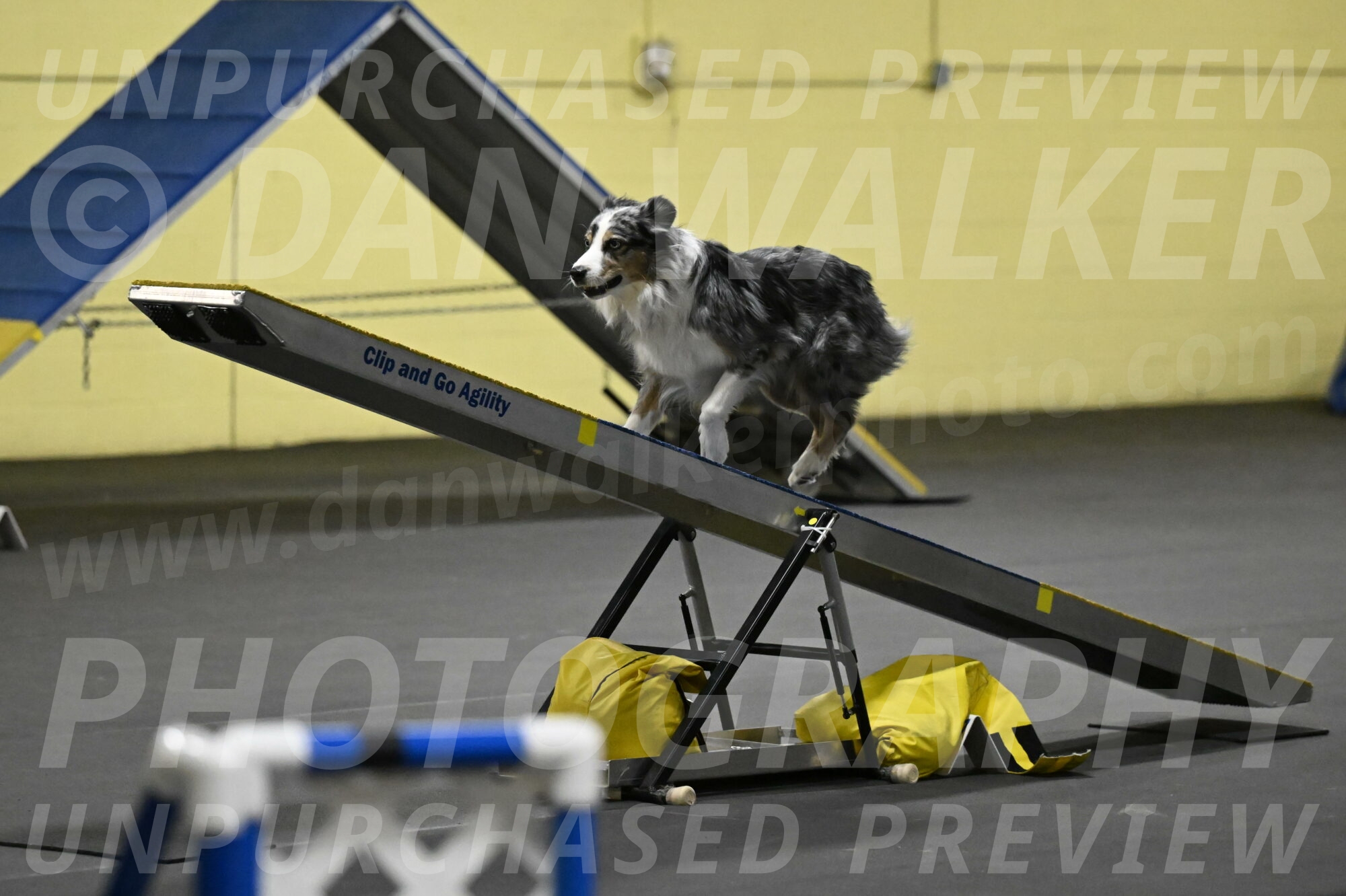 Kaiden-Armbrust-05681