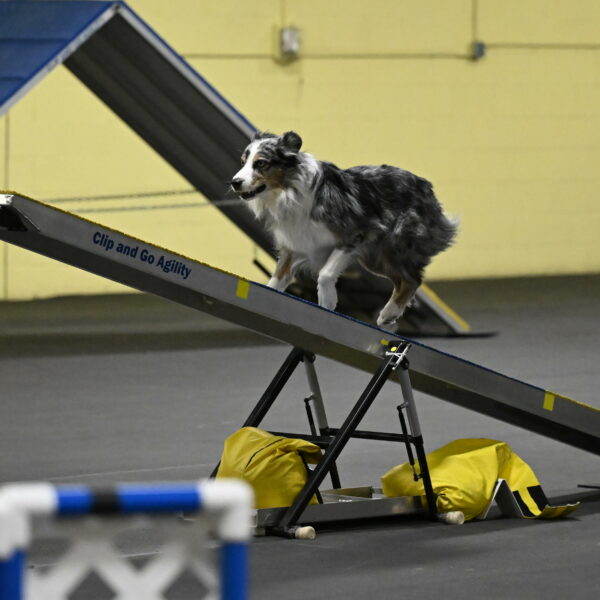 Kaiden-Armbrust-05681