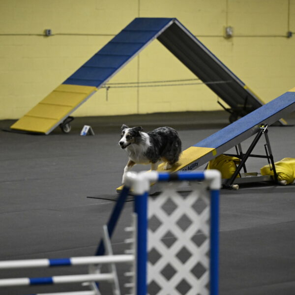 Kaiden-Armbrust-05683