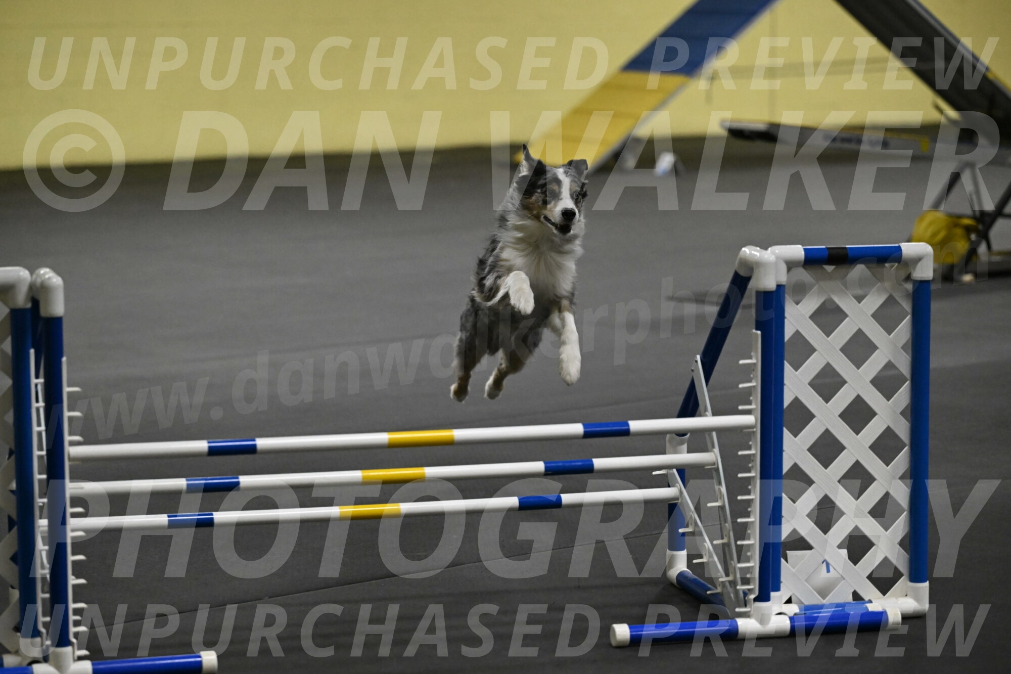 Kaiden-Armbrust-05687