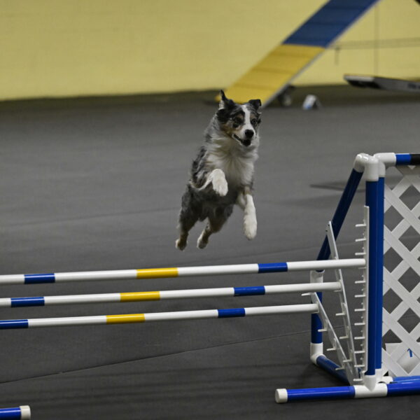 Kaiden-Armbrust-05687