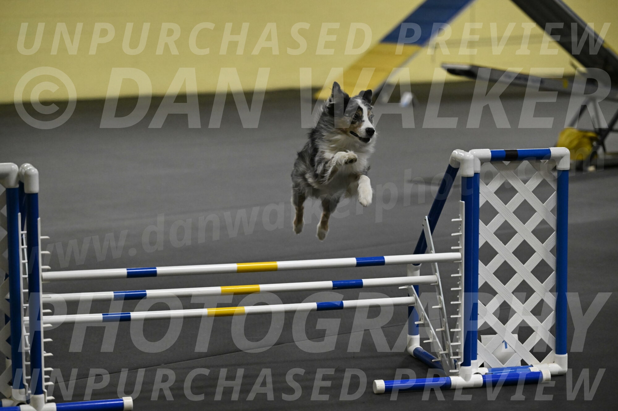 Kaiden-Armbrust-05688