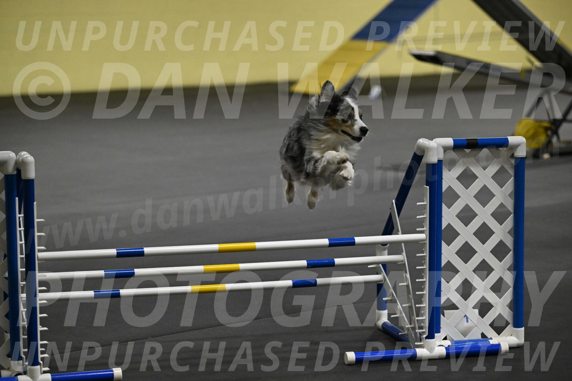 Kaiden-Armbrust-05689