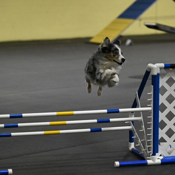 Kaiden-Armbrust-05689