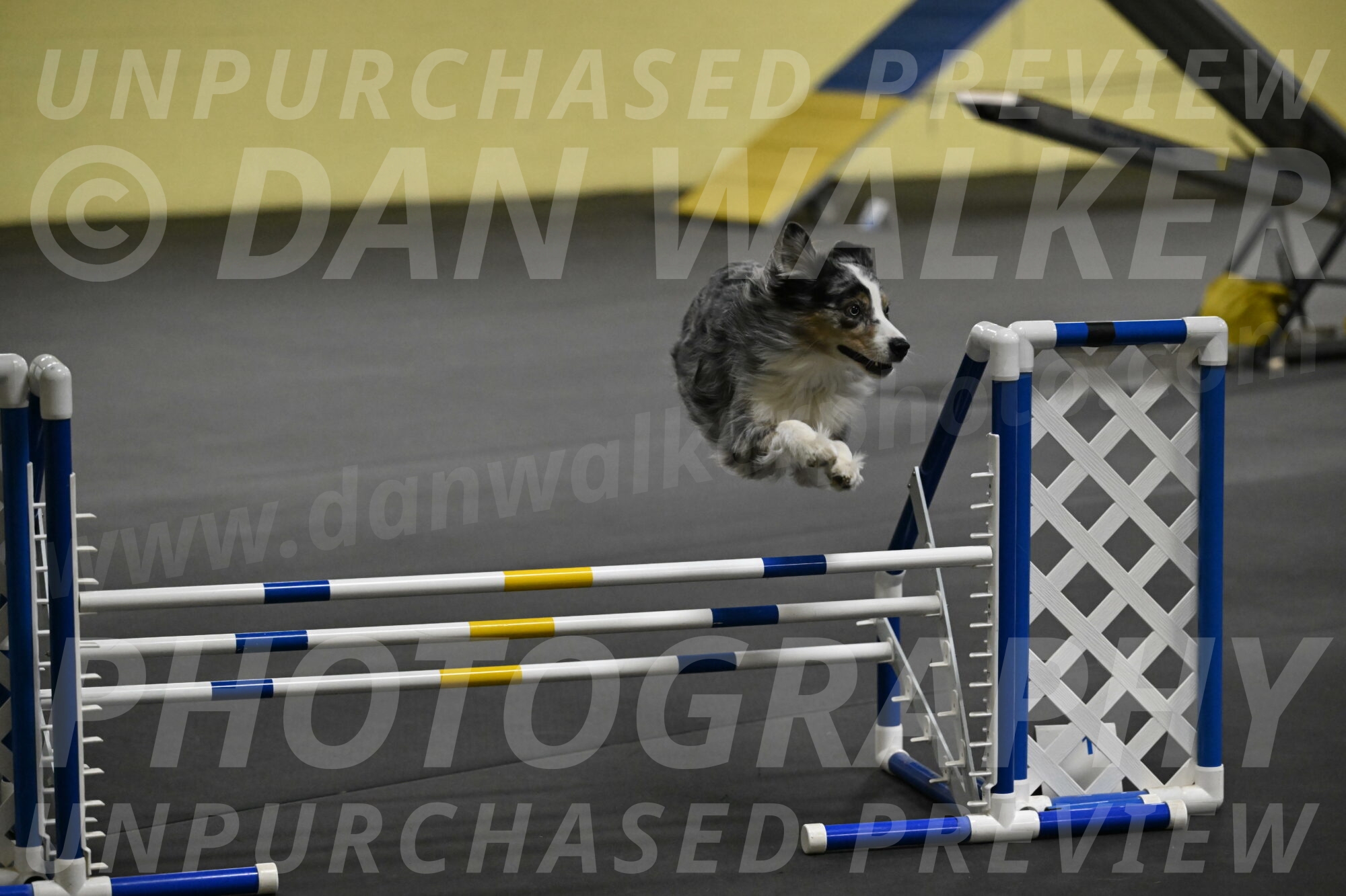 Kaiden-Armbrust-05690