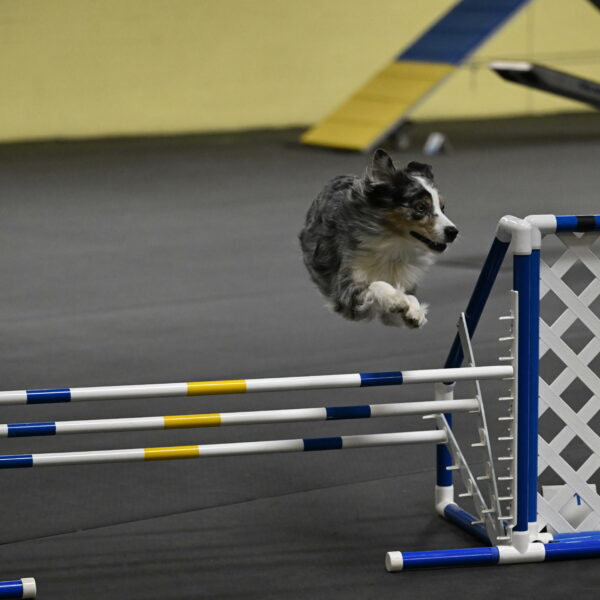 Kaiden-Armbrust-05690