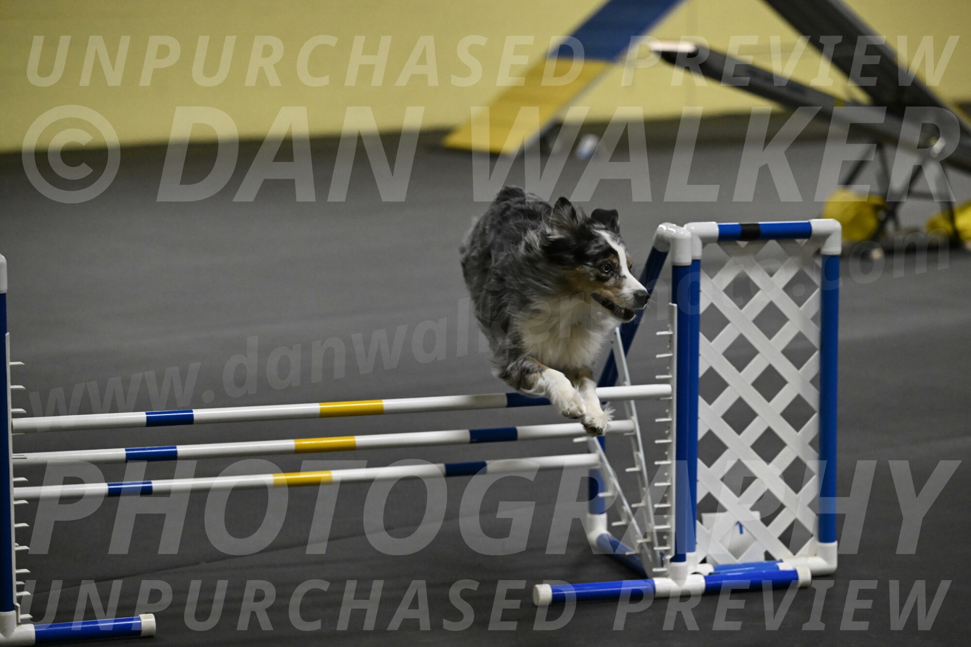 Kaiden-Armbrust-05691