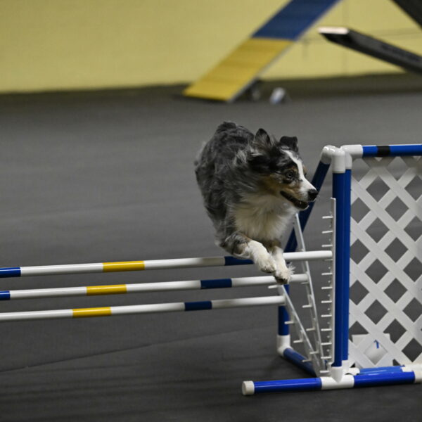 Kaiden-Armbrust-05691