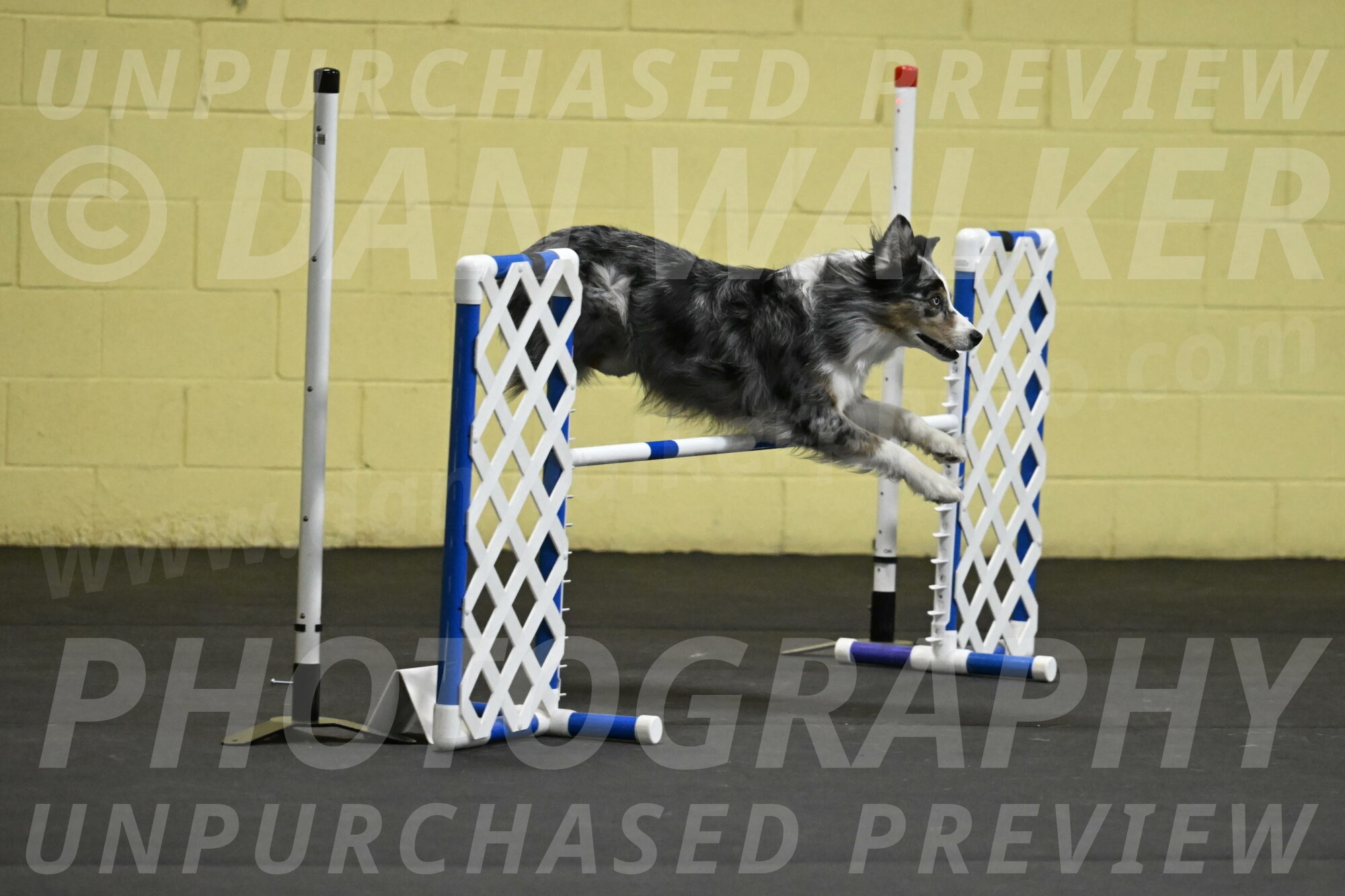 Kaiden-Armbrust-05694