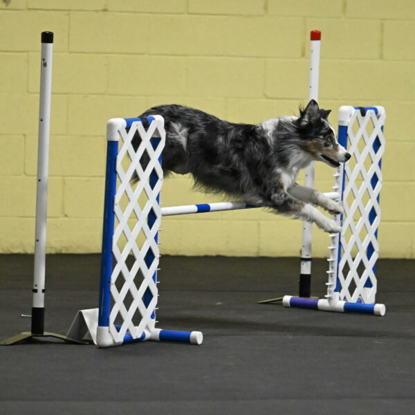 Kaiden-Armbrust-05694