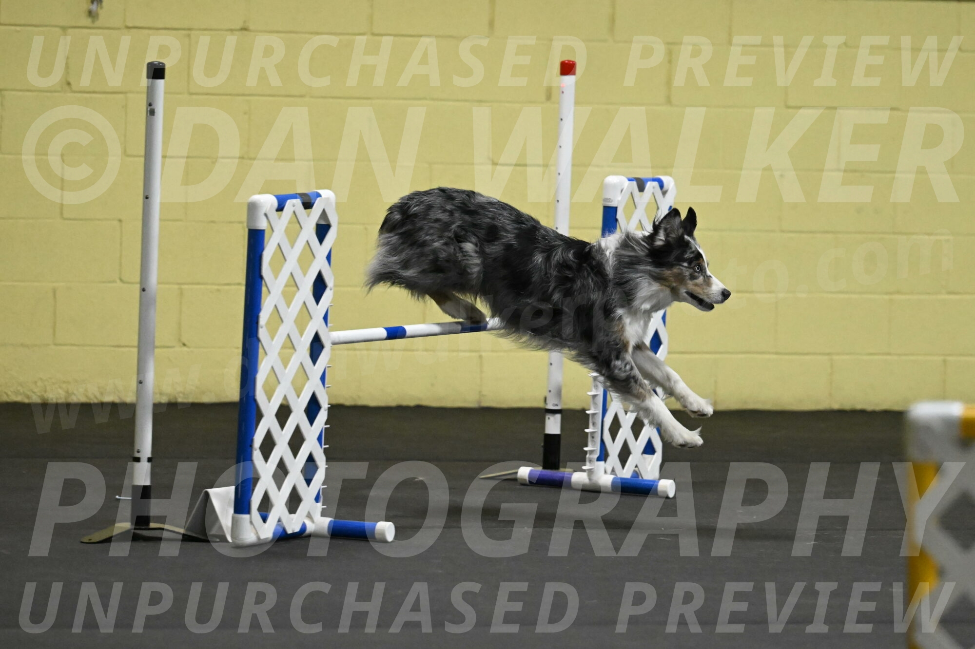 Kaiden-Armbrust-05695