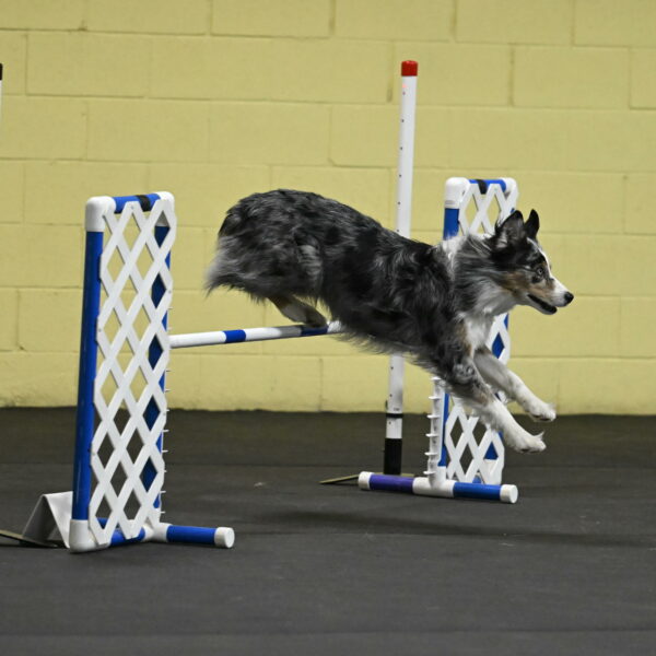 Kaiden-Armbrust-05695