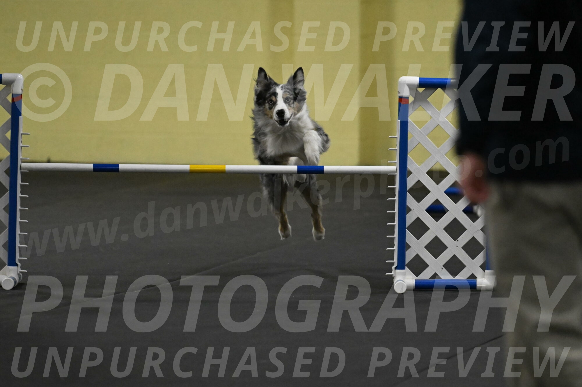 Kaiden-Armbrust-05703