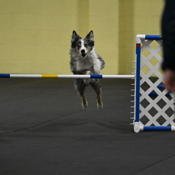 Kaiden-Armbrust-05703