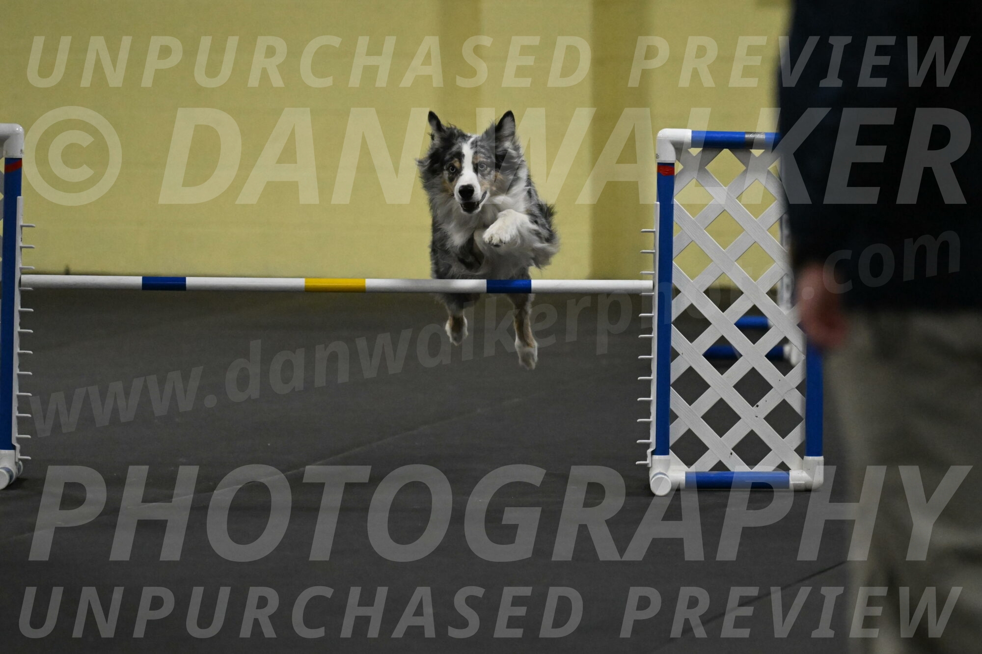 Kaiden-Armbrust-05704