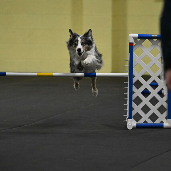 Kaiden-Armbrust-05704