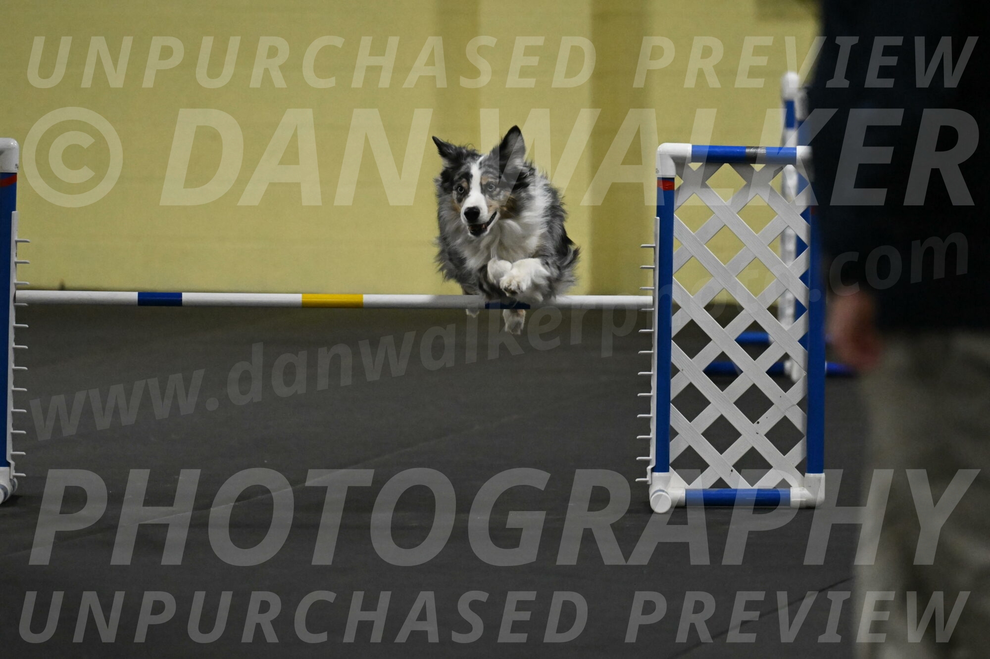 Kaiden-Armbrust-05705