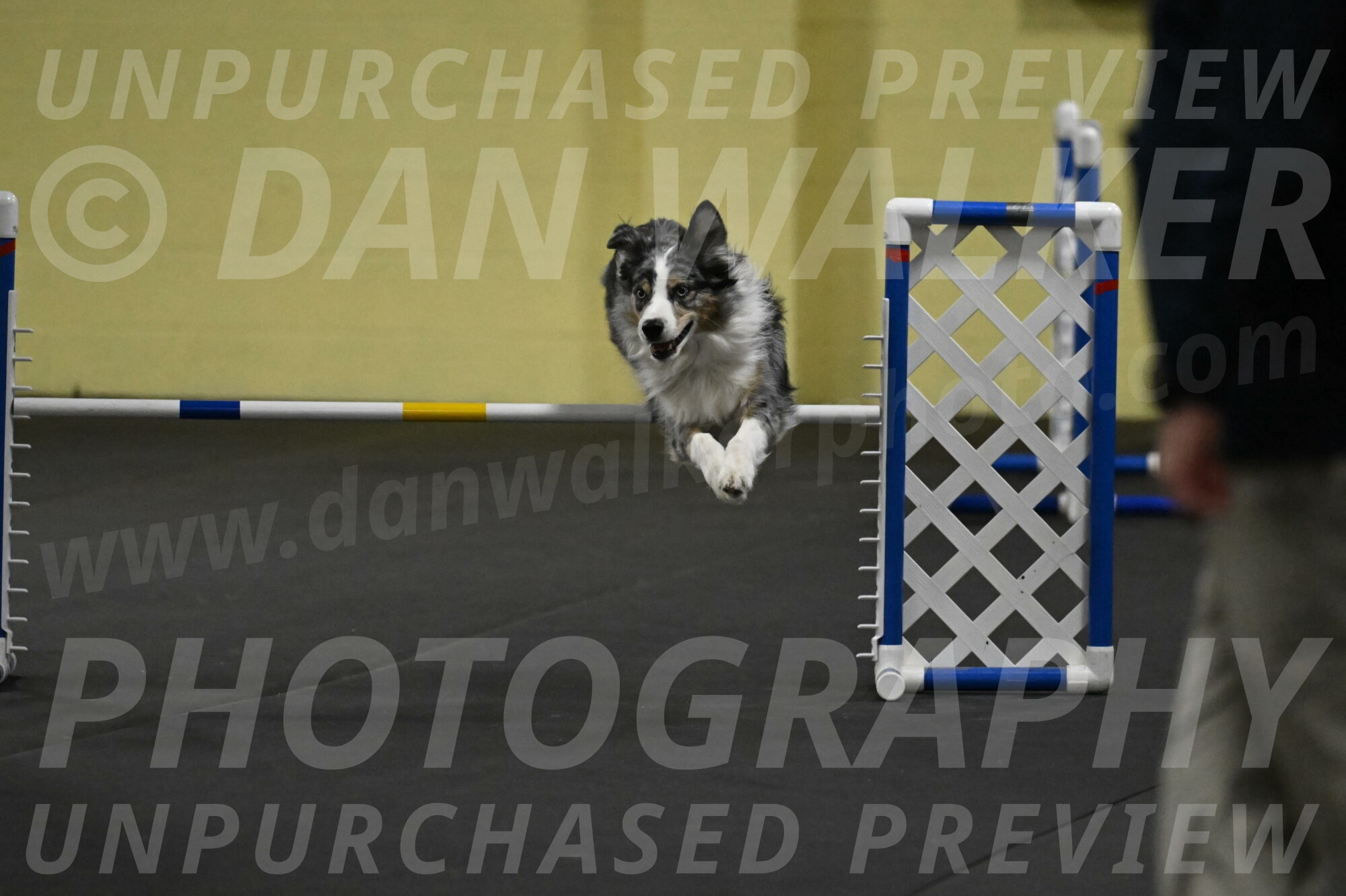 Kaiden-Armbrust-05706