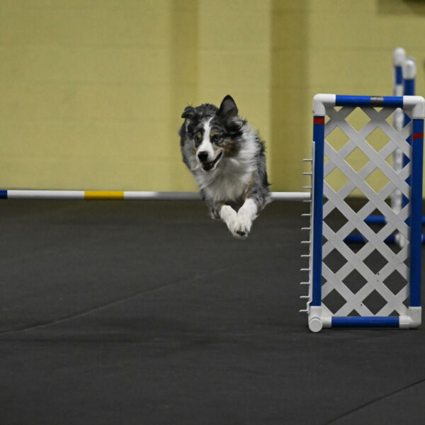 Kaiden-Armbrust-05706