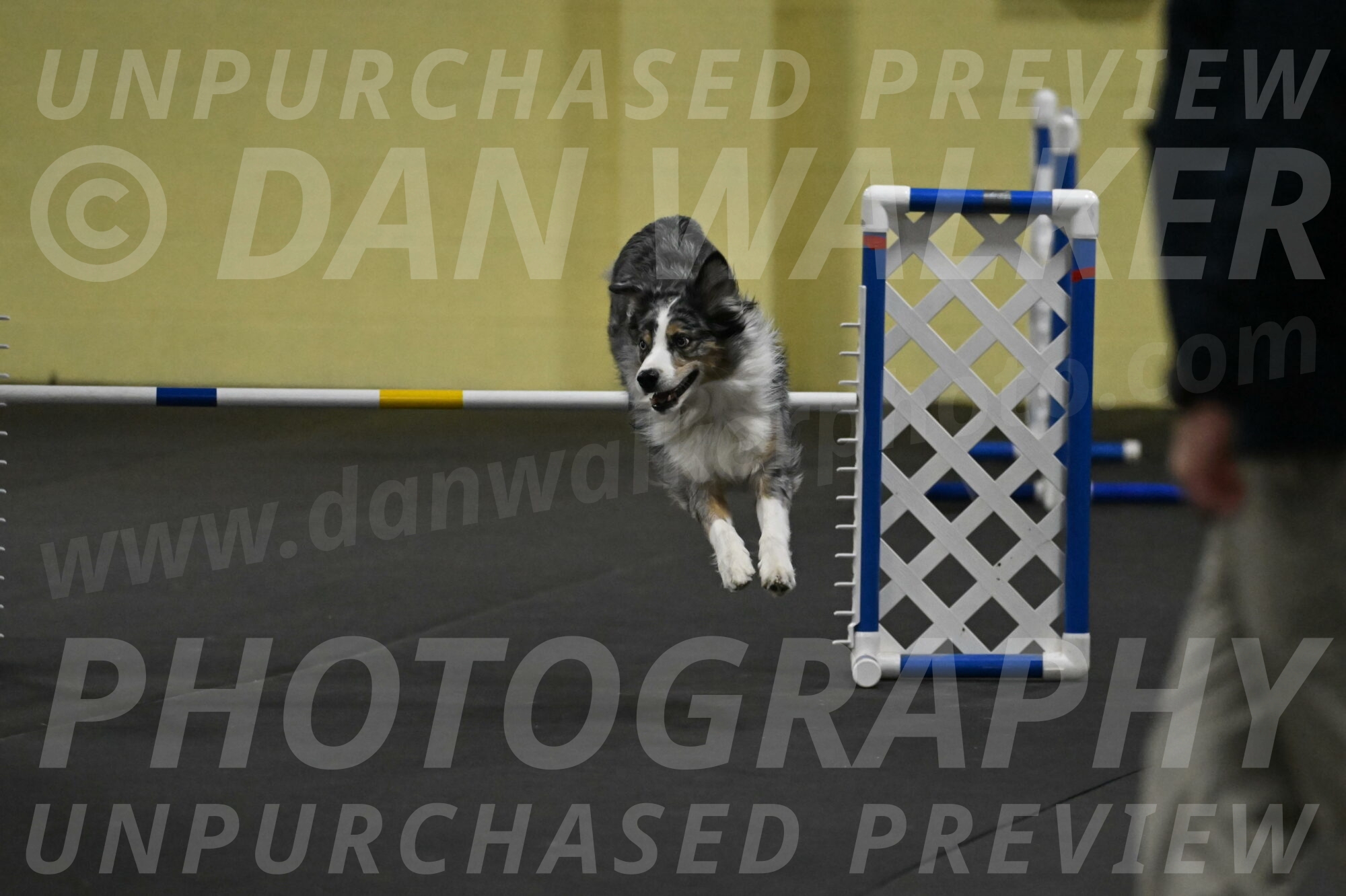 Kaiden-Armbrust-05707