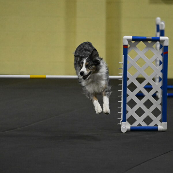 Kaiden-Armbrust-05707